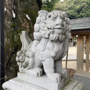 神社仏閣で見かける動物たちにはそれぞれ意味があった！ 神社の狛犬、龍や獅子も！その由来を徹底解説！【伝説上の動物編】