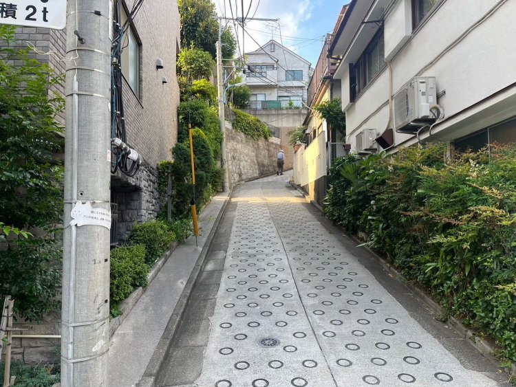 「この坂も急！！でもなんか風情があっていいね」。目白界隈で散歩するときはアップダウンをお楽しみください。