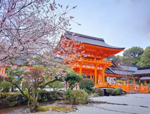 上賀茂神社1