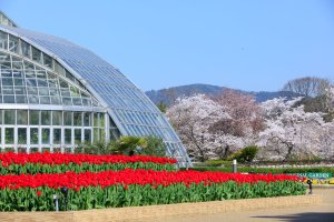 京都府立植物園