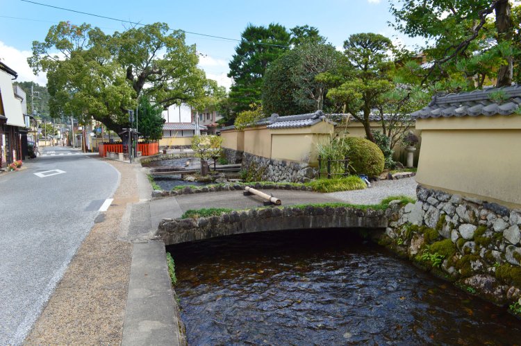 静かな町並みに続く清流沿いの道は絶好の散歩道。