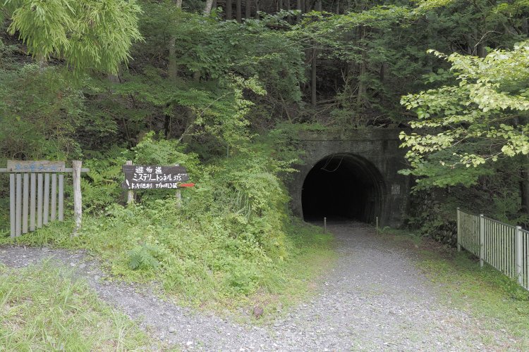 大加島トンネルの出口。こちらも鬱蒼（うっそう）とした森の中で口を開けており、キャンプ場の人々にも楽しめる。2024年8月16日撮影。