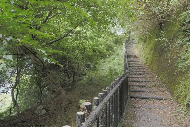 西井戸トンネルを出ると路盤は途切れる。しぶき橋まで歩いて渡り、堰堤のすぐ近くに寄倉トンネルの跡が残っている。2024年8月16日撮影。