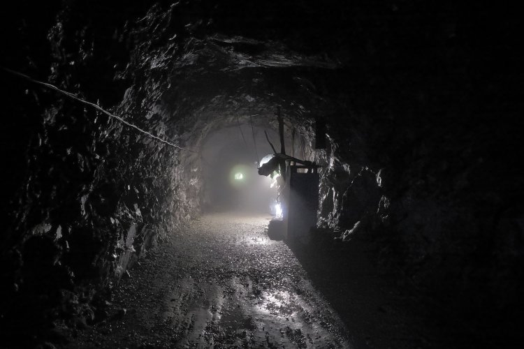 近づいてくると何かのシルエットが……！