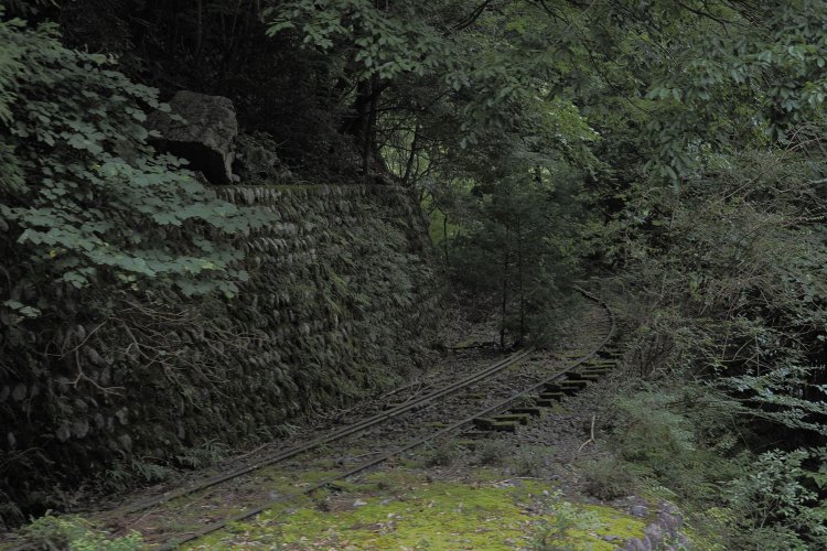 右岸ルートの分岐部分は車窓から見える。下り列車だとちょうど第一大井川橋梁を渡る直前だ。ポイントも残っていて、謎の分岐に思えてしまう。2024年8月16日撮影。