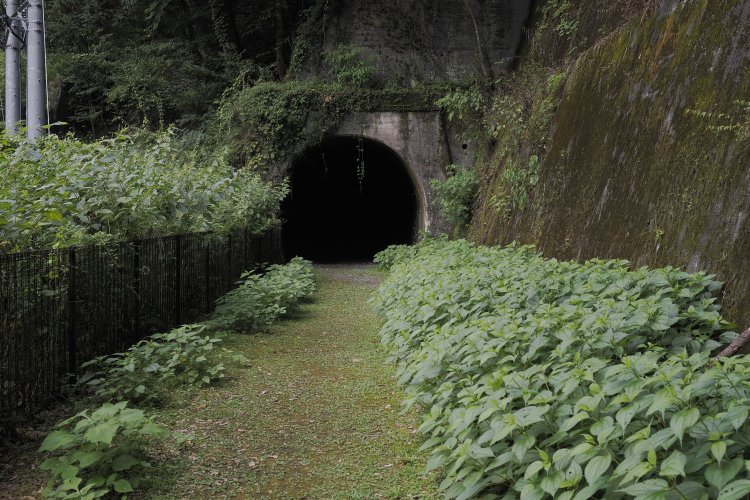 ミステリ～トンネルの「大加島トンネル」の坑口がぽっかりと開いている。わくわくする瞬間だ。2024年8月16日撮影。