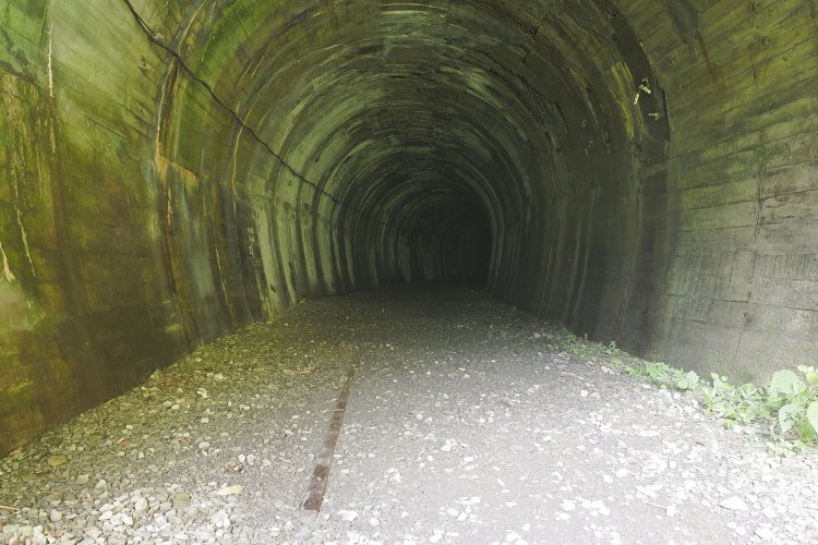 大加島トンネルへ入ると地面にはレールの頭がのぞかせていた。ここを千頭行きの上り列車が走り去っていった。2024年8月16日撮影。