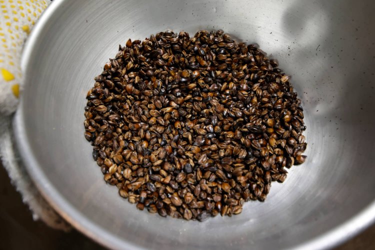 焙煎した大麦。