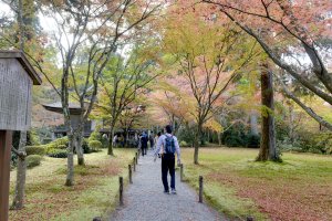 三千院3