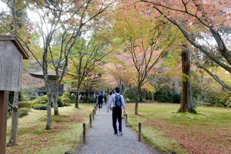苔、アジサイ、紅葉など風趣に富む景観を見せる庭園。