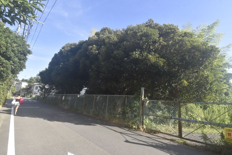 泣塔が立つ塚。塔を他の場所に移すとすすり泣きが止まなかったため、この名がついた。