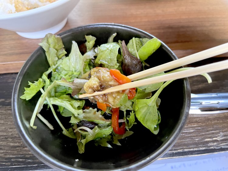 サラダは焼いて湯引きしたナスにスペイン産のツナ缶とパプリカを和えたもの。