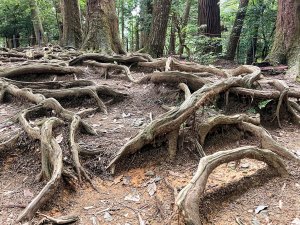 鞍馬寺2