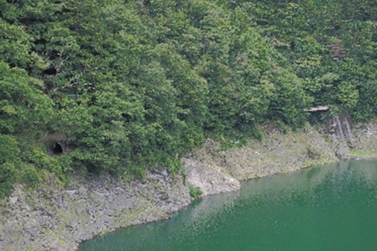 小芦沢トンネルの先には木々に隠れながらも第一芦沢トンネルが口を開けたまま残っていた。その先にも橋梁が残っている。 2024年8月16日撮影。