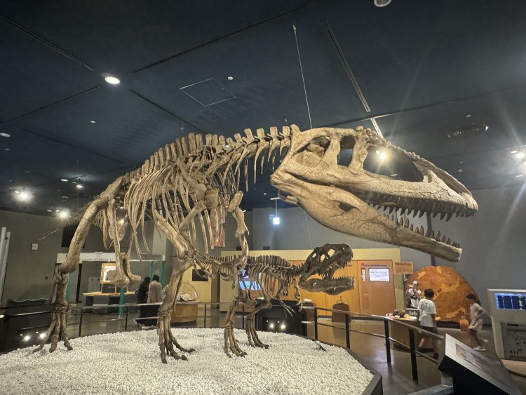 恐竜の復元標本や、現世で使われる技術を楽しく身近に体験できる展示、そして9ⅿの人工竜巻を見ることも叶う。