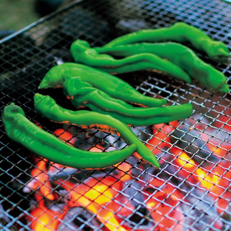 焼くだけでおいしい、万願寺甘とう。肉厚でタネが少なく、唐辛子なのに甘い。