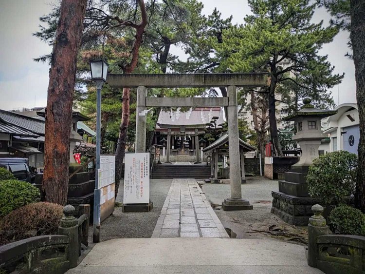 【酒場ナビ】大学酒蔵