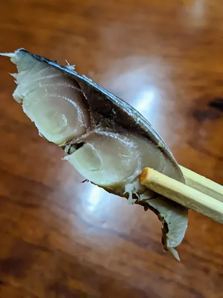 【酒場ナビ】大学酒蔵