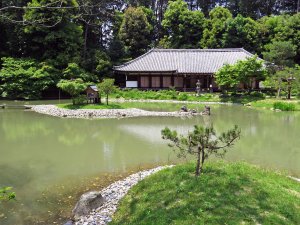 浄瑠璃寺3