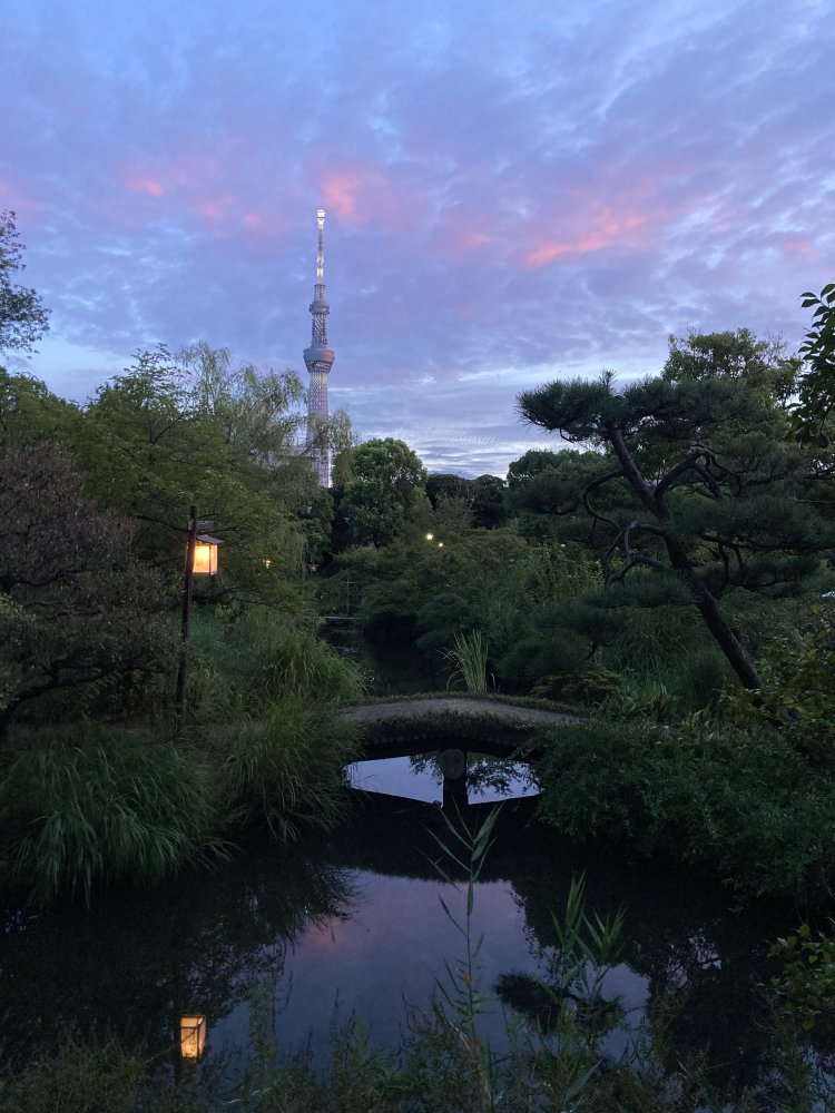 池越しに東京スカイツリーが見られる人気の撮影スポット。