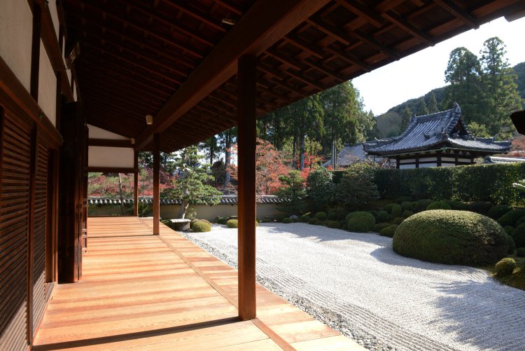 白砂にサツキやソテツなどの植栽が見える方丈南庭。