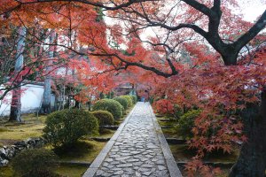 酬恩庵 一休寺2