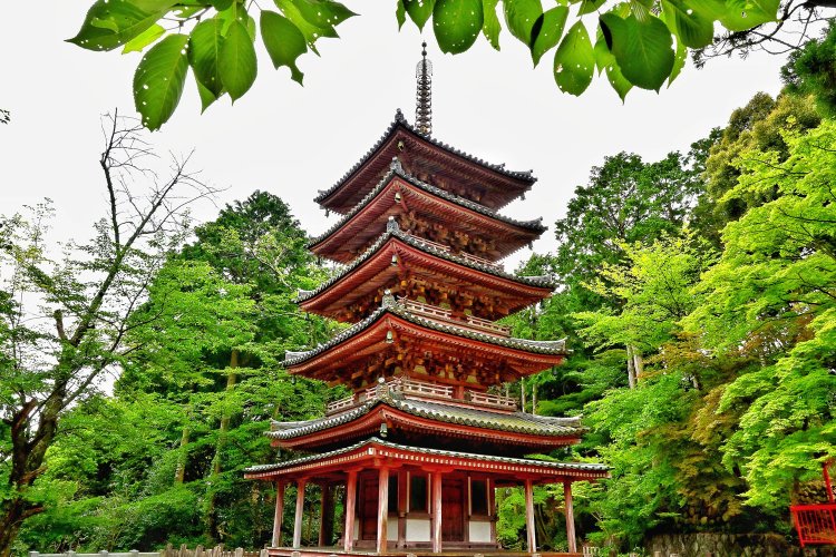 総高17.7ｍの五重塔は、釈迦の遺骨である仏舎利（ぶっしゃり）を安置するために建てられた。