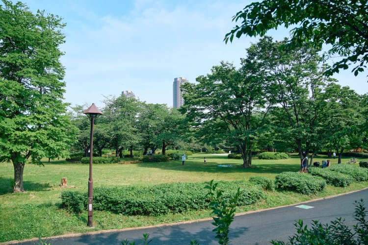 二人がダンスに励んだ猿江恩賜公園。地元の子供たちは「キグラ公園」と呼んでいたが、その由来は不明だとか。