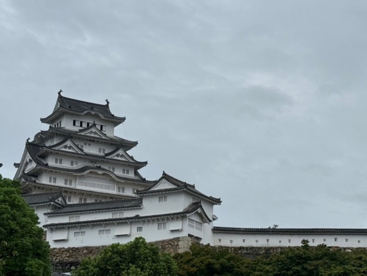 姫路城(丸が鉄砲狭間、四角が矢狭間である)。