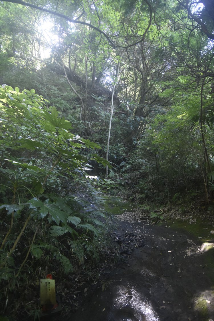 源氏山公園から続く化粧坂は、鎌倉時代の風景を彷彿させる。