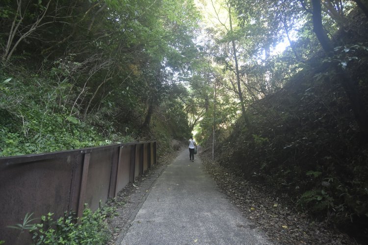地元の人の生活道路になっている亀ケ谷坂切通し。自動車の通り抜けはできない。