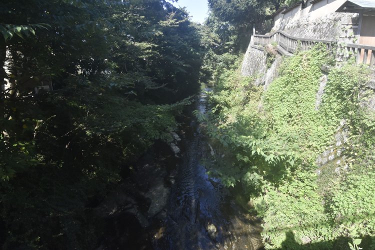 滑川は街中を流れているが、上から眺めた限りは水が澄んでいた。野鳥の姿も見られる。