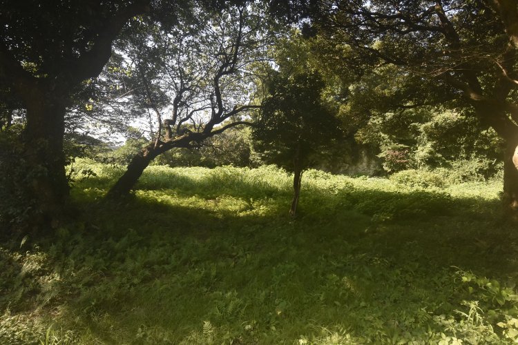 東勝寺跡はフェンスで囲まれ、内側には入ることができない。