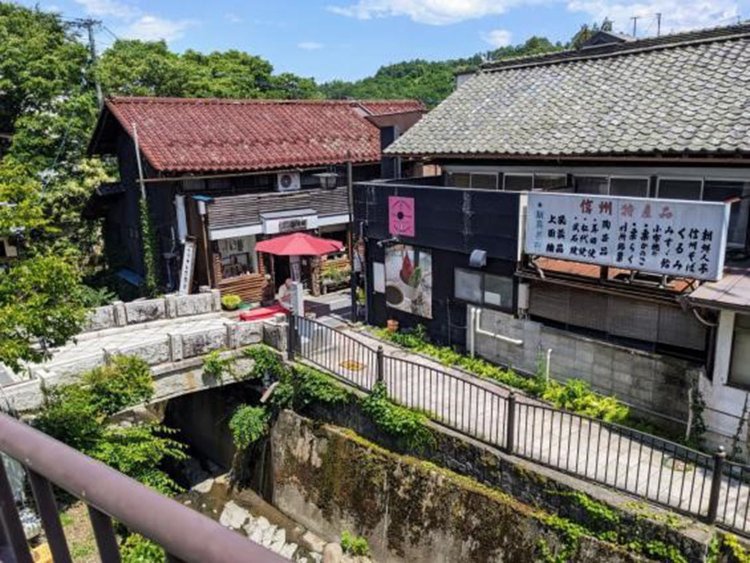 新緑と瓦屋根のコントラストが美しい。