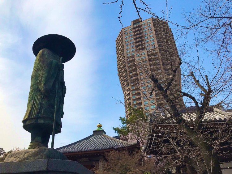東京都港区「善福寺」にある浄土真宗の宗祖・親鸞像。