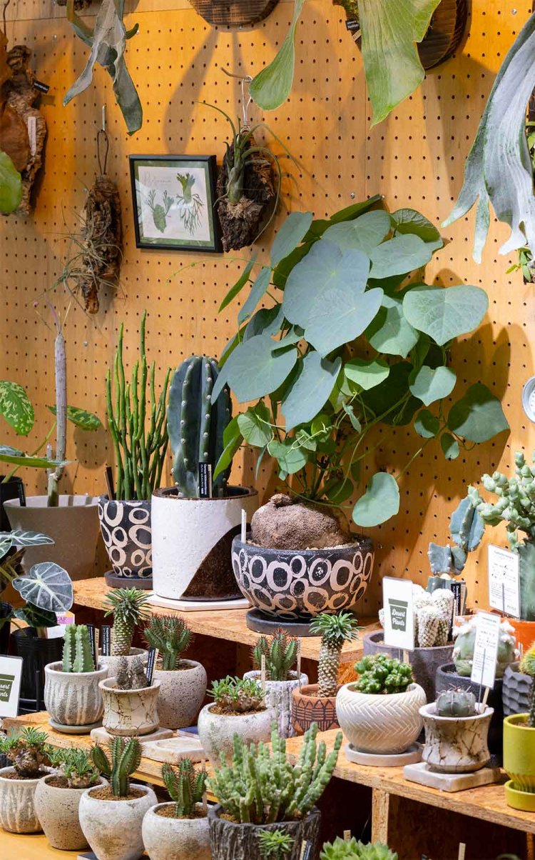 【散歩の達人】vol.1 経堂 INTO THE DEEP