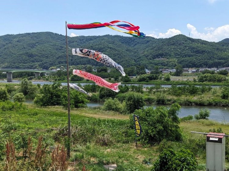 青々とした山々を背景に流れる千曲川。