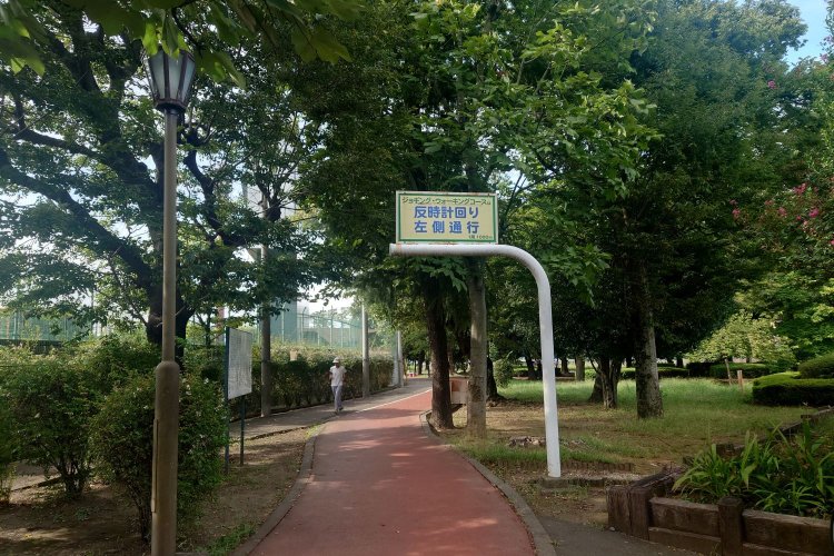 木陰が気持ちいい「ジョギング・ウォーキングコース」。