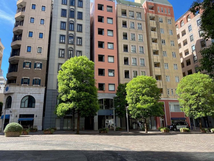 上写真のベンチから見える景色。