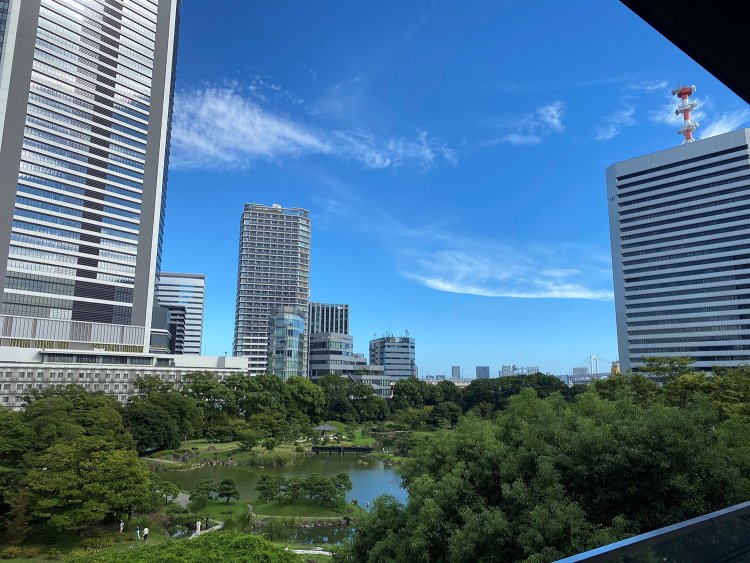 青空を見上げながらの空中散歩。足下には『旧芝離宮恩賜庭園』が見えちゃってます。