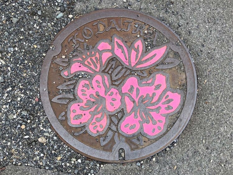小平市のマンホール。市の花であるツツジがあしらわれる。