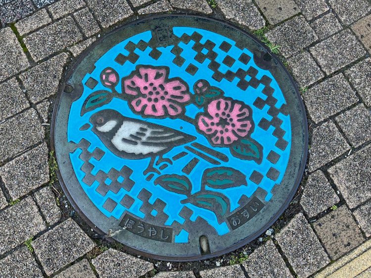 旧保谷市のマンホール。市の花・サザンカと市の鳥・シジュウカラの組み合わせ。
