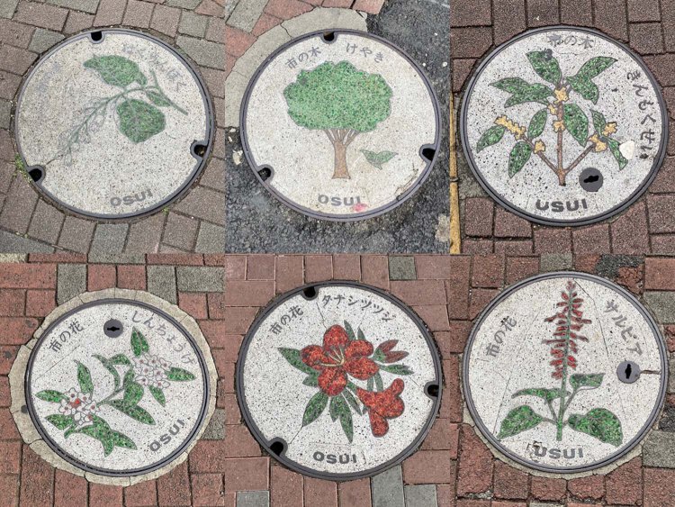 旧田無市のマンホール。市の花も市の木も多すぎやしないか。