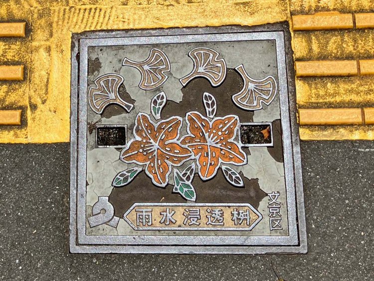 文京区の雨水桝蓋。区の花・ツツジと区の木・イチョウの組み合わせ。