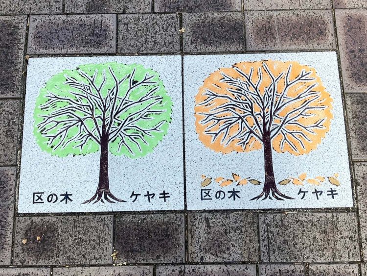 渋谷区の散策路に設置されたプレート。緑の時と紅葉時の両方が並置されるのは珍しい。