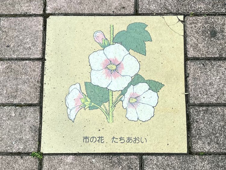 静岡市のプレート。シンボルの花としては、タチアオイは珍しい気がする。