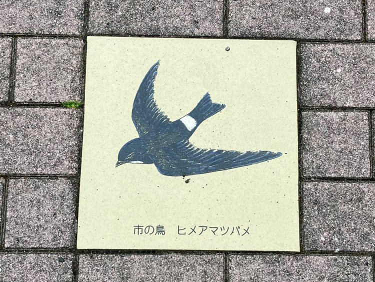 同じく静岡市の鳥・ヒメアマツバメのプレート。花や木に比べ、鳥のプレートは少ない。