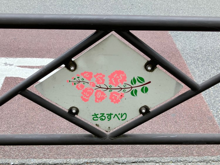 調布市の花・さるすべりのガードレール。