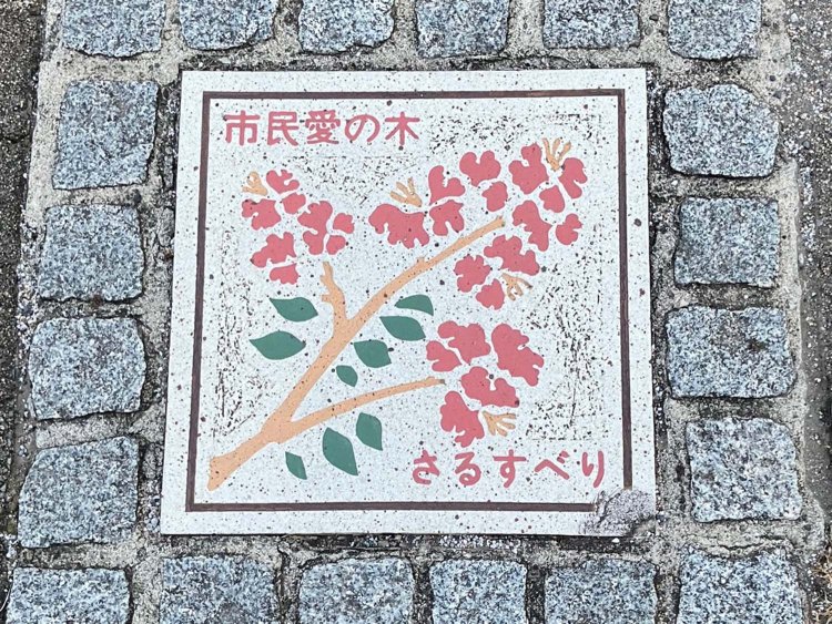 私が発見したのはさるすべりのみだったが、他にも「市民愛の木」プレートはあるようだ。