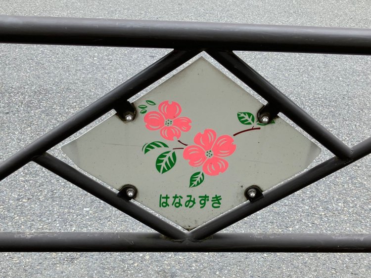 調布市と「はなみずき」との関係について、今後も調査したい。